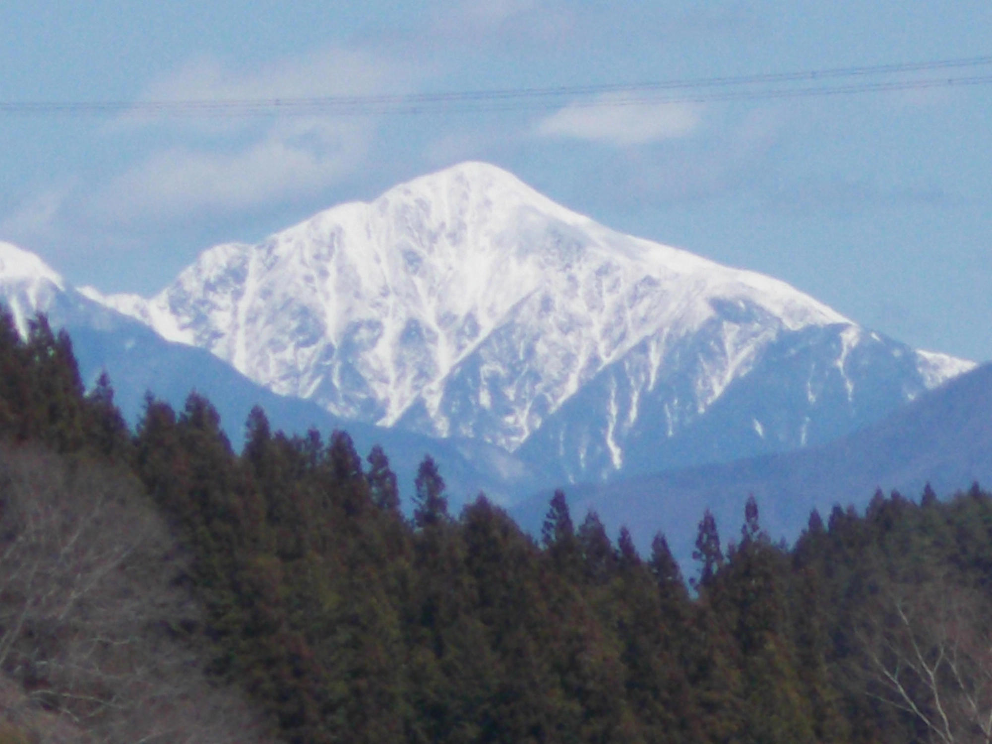 釣りあがっていくと谷間に真っ白な南アルプスの峰々が！この山は方角的にたぶん聖岳（違ってたらごめんなさい）ちなみに桜はまだつぼみでした。