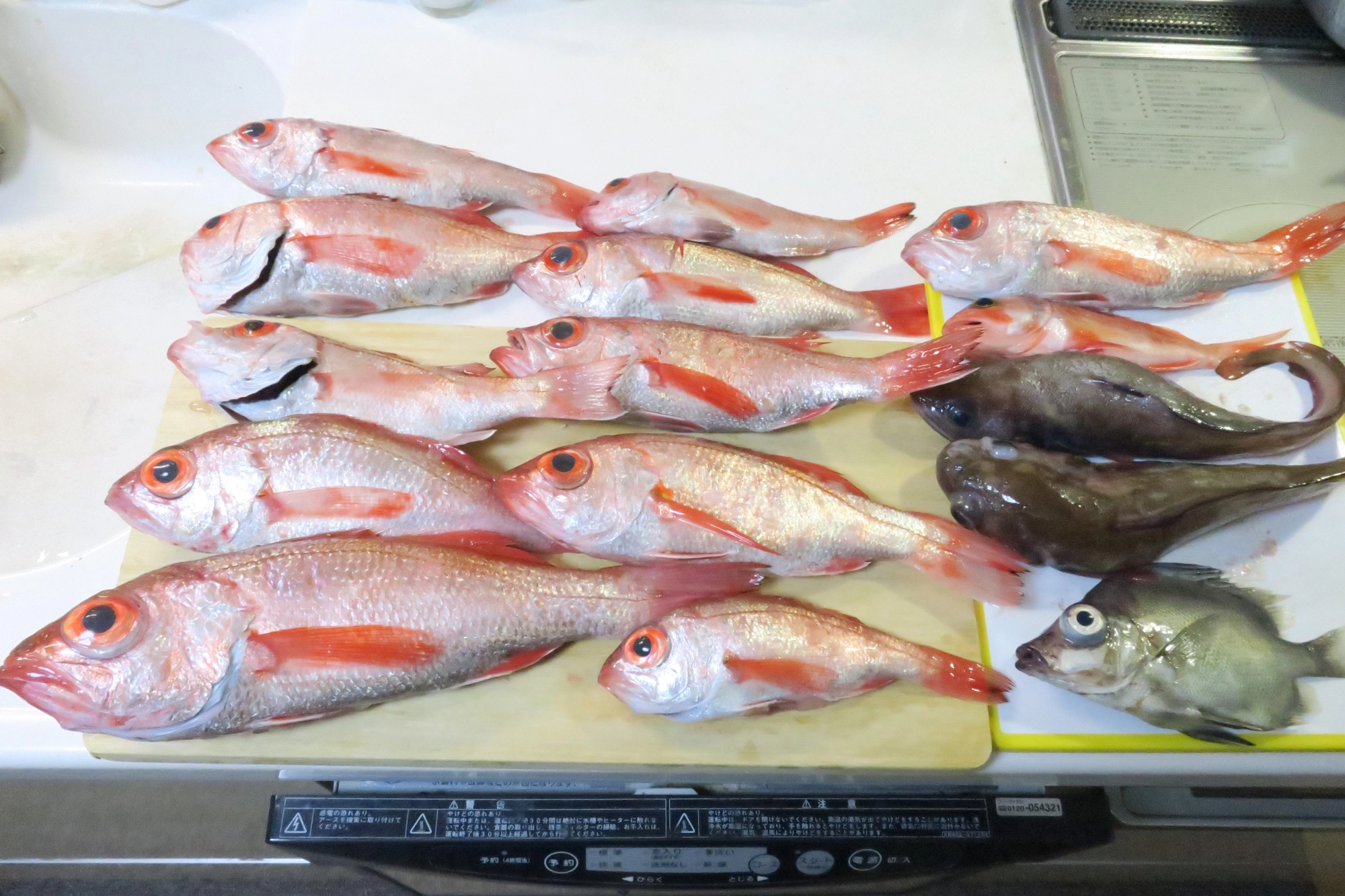 Fishing　Guide　Service　SEEKERSさんに乗船。アカムツが１１匹＋ユメカサゴ１匹＋ドンコ２匹＋ツボダイ１匹が釣れました。