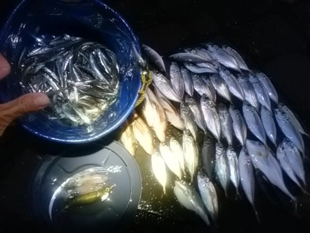 恵みに感謝