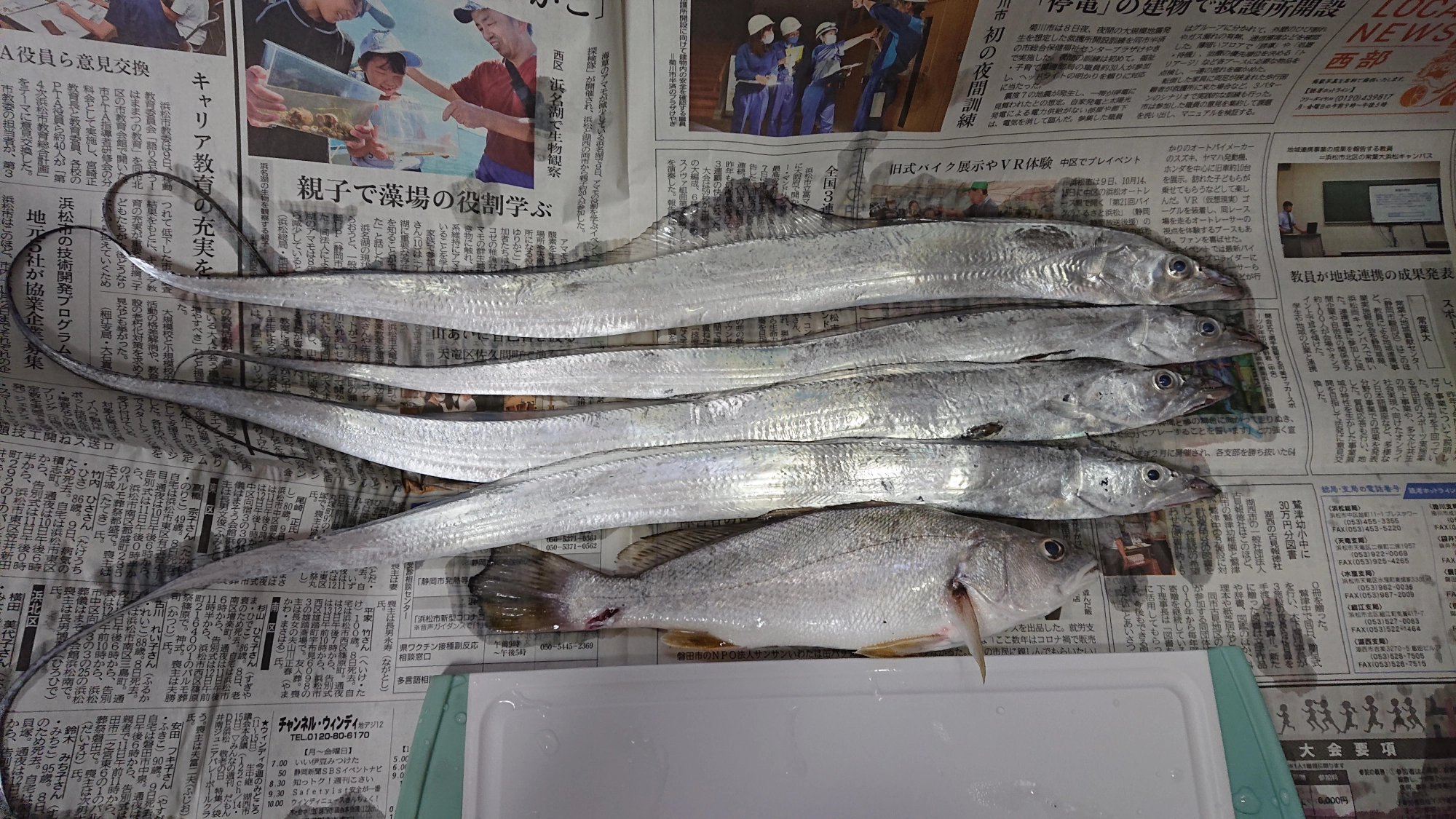 太刀魚は小型がメインでしたが活性が高いのかライズも確認できました。