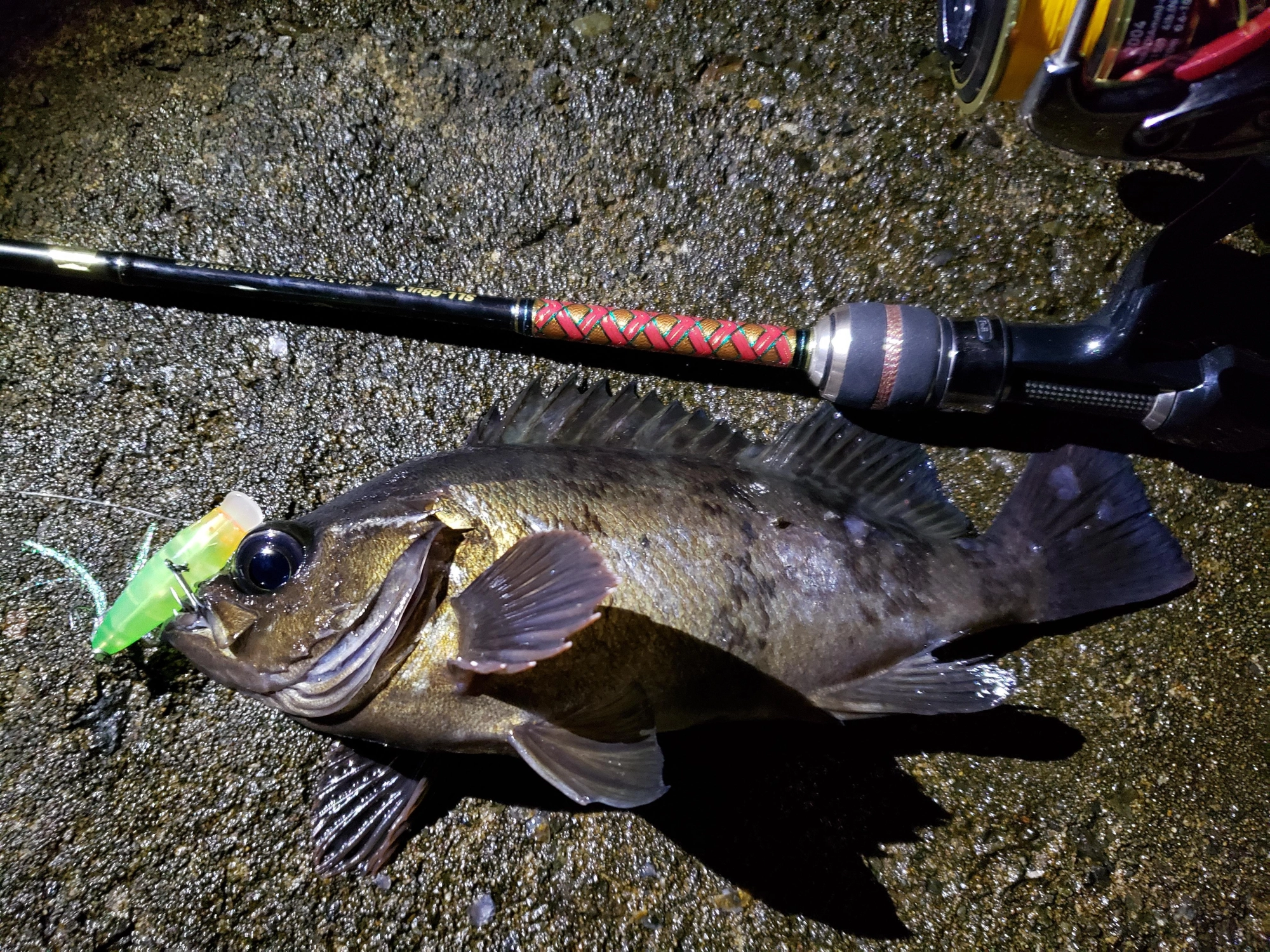 この日は25cmの魚が4匹出ましたがそのうち3匹の釣果がファットビーグルでした！
大型個体の好む場所へ飛ばせる飛距離と明暗が絡んでも絡まなくても魚に気付いてもらえるアピール力は、北陸で強みになります。
またこのカラー「マットゴーストチャート」はかなりのオススメカラーですよ！