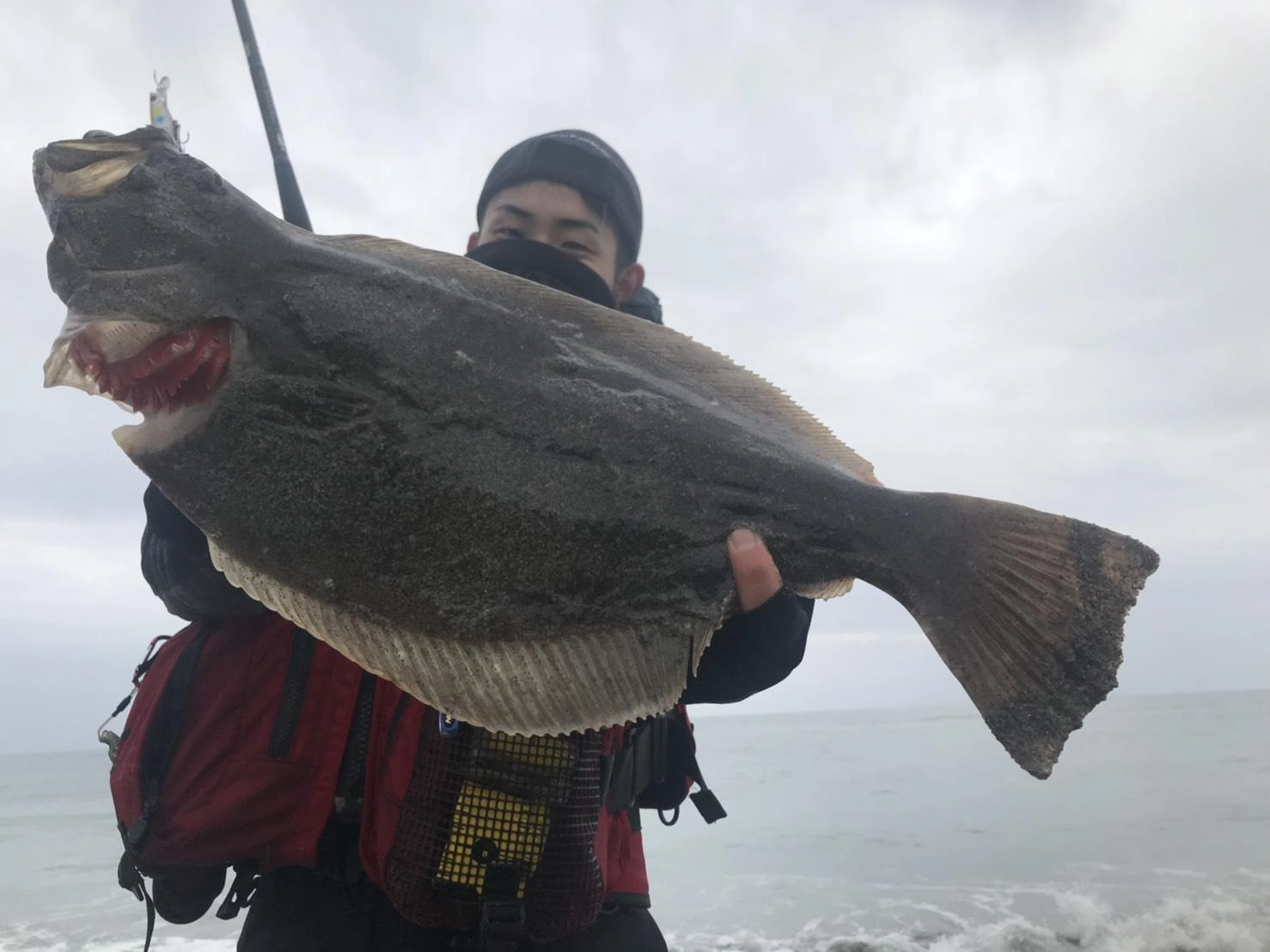 ヒラメ５０ｃｍ！