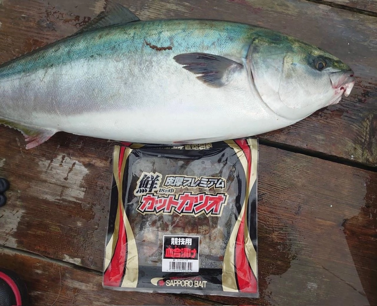 海上釣堀 IN あなたに逢い鯛】マダイ高活性!! シマアジ・ワラサ