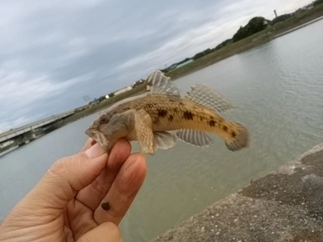 デカハゼハンター