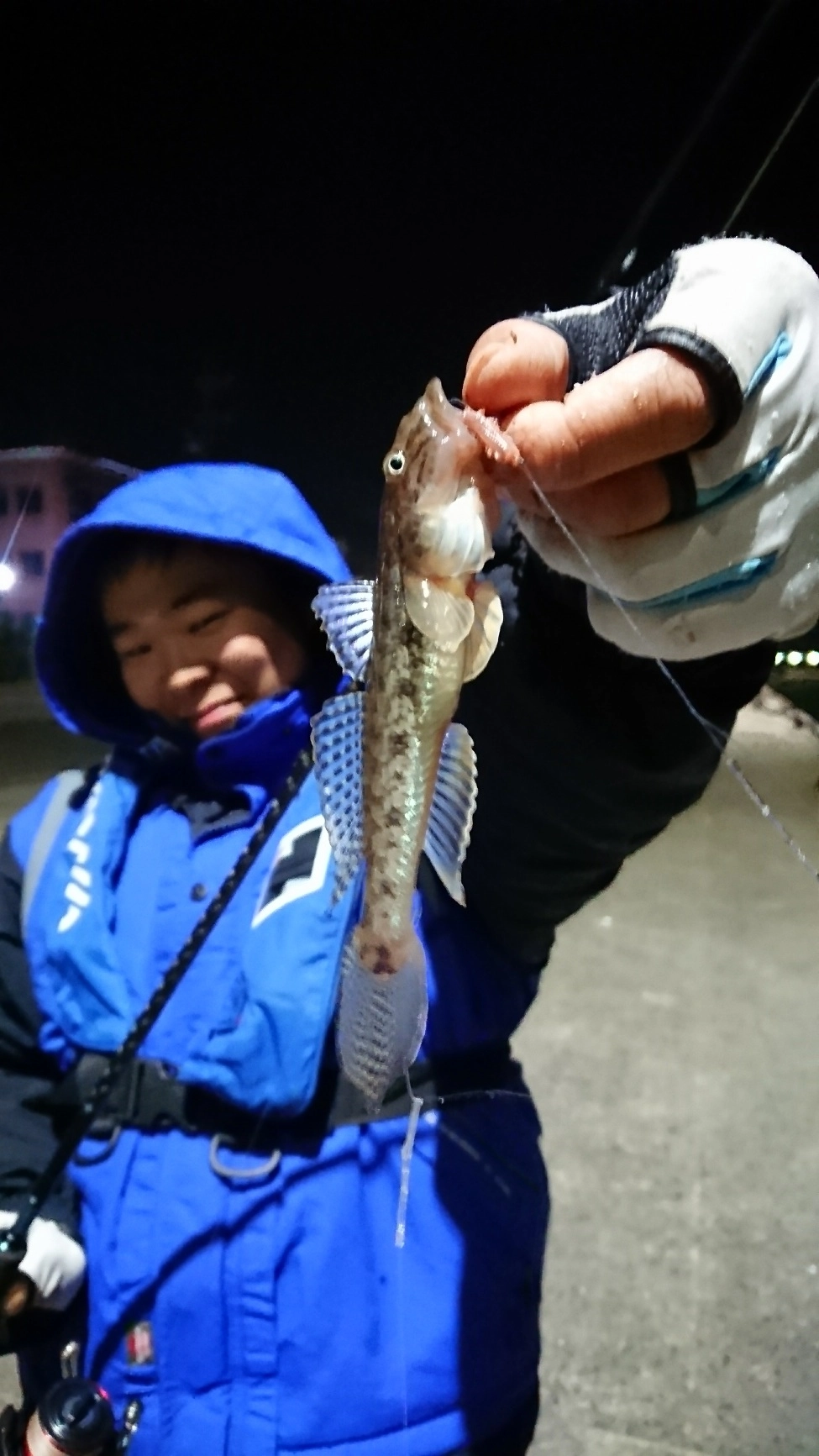 今なら特大の落ちハゼも好調^^
20cmオーバーが釣れる事もありますよ!!