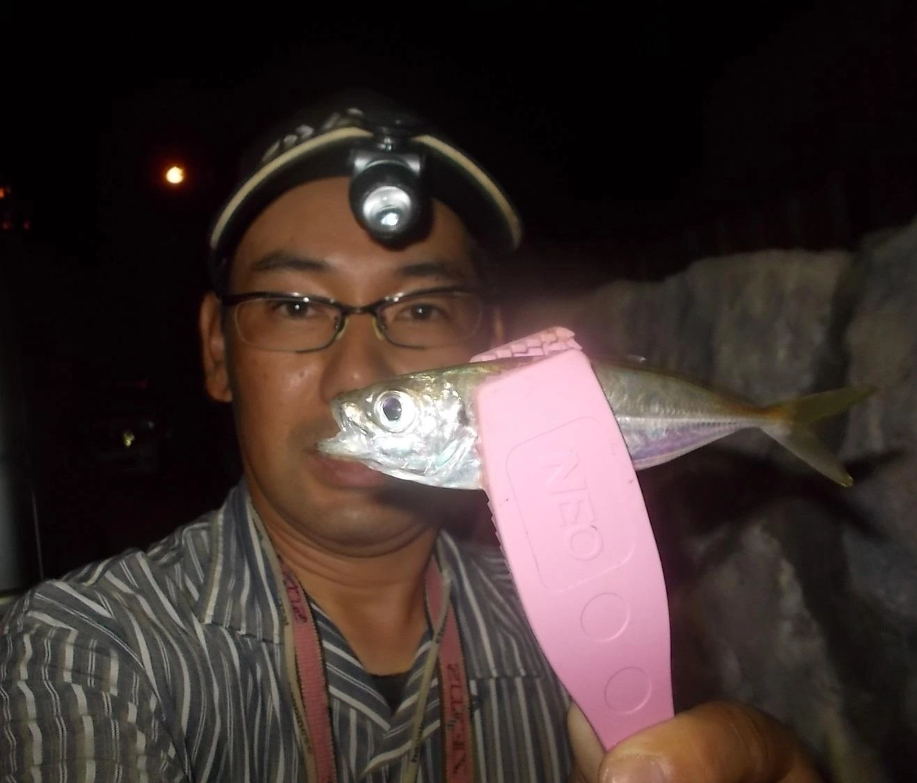 アジが大きくなってきました。夕涼みがてらに夜釣りしてみませんか♪