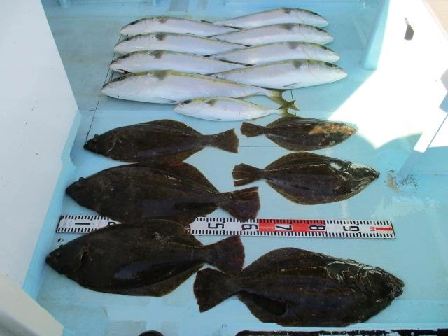 片舷だけの釣果ッ(^-^)
反対側はワラサ❾本 釣り上げてましたよッ(°▽°)
