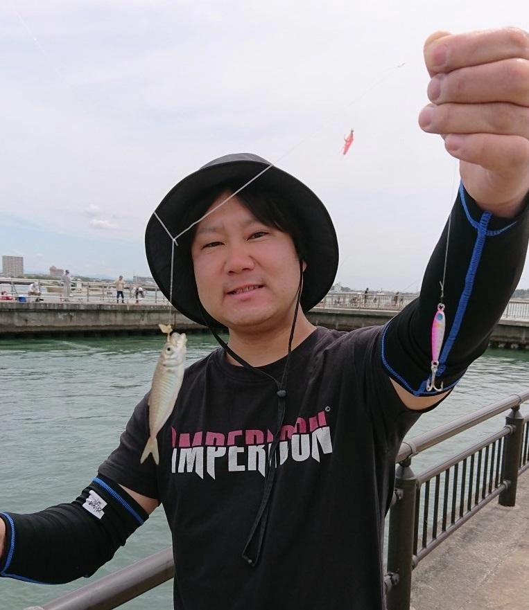 サビキ仕掛けにはアジやイワシがヒット