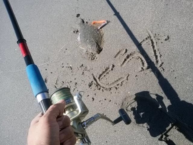 ヒラメ