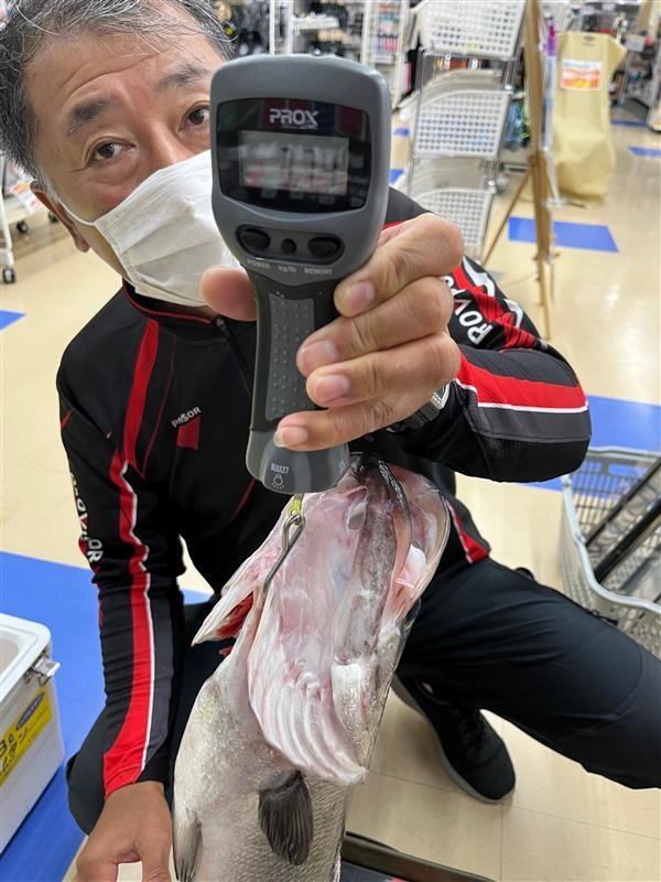 ヒラスズキ　74㎝　3.74㌔