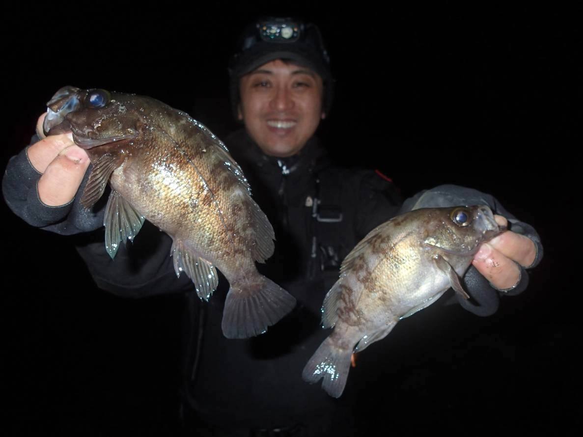 今シーズン初釣行から反応多く数も出ました。今後期待大!!