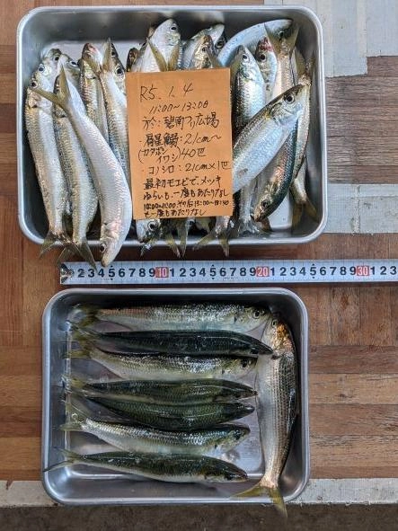 メッキの当たり一度もなし
