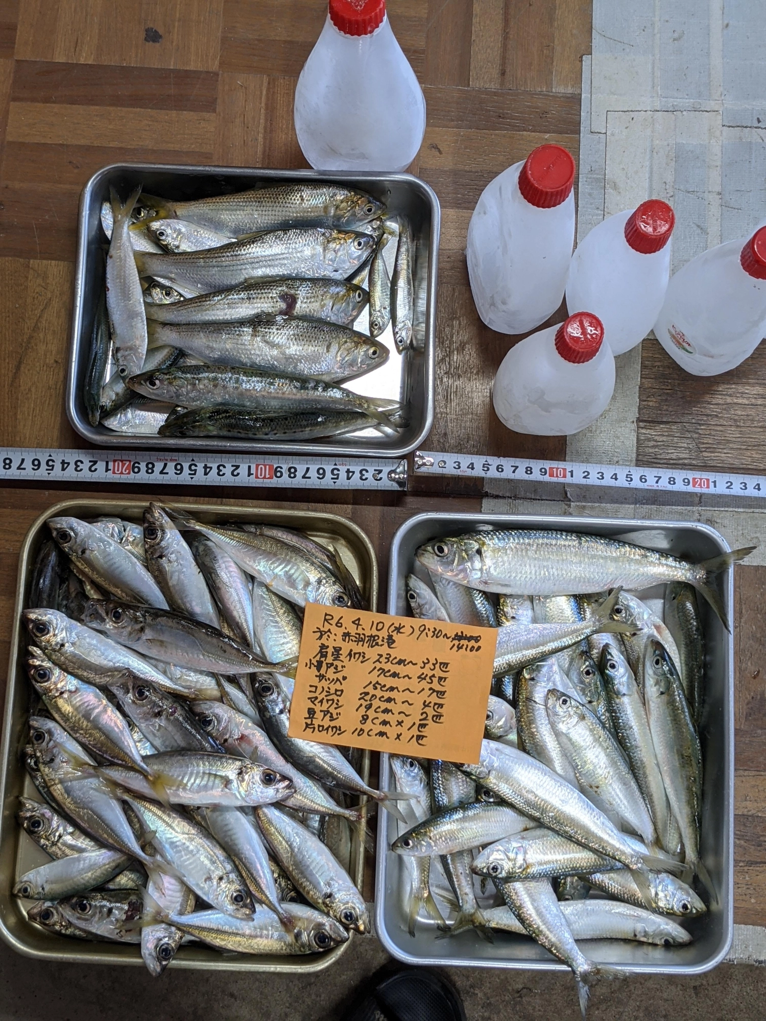 運が良かったのみ
その他の釣果は写真参照