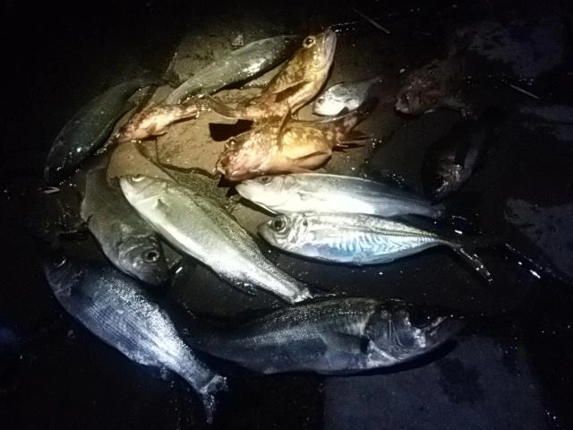 短時間なら十分満足