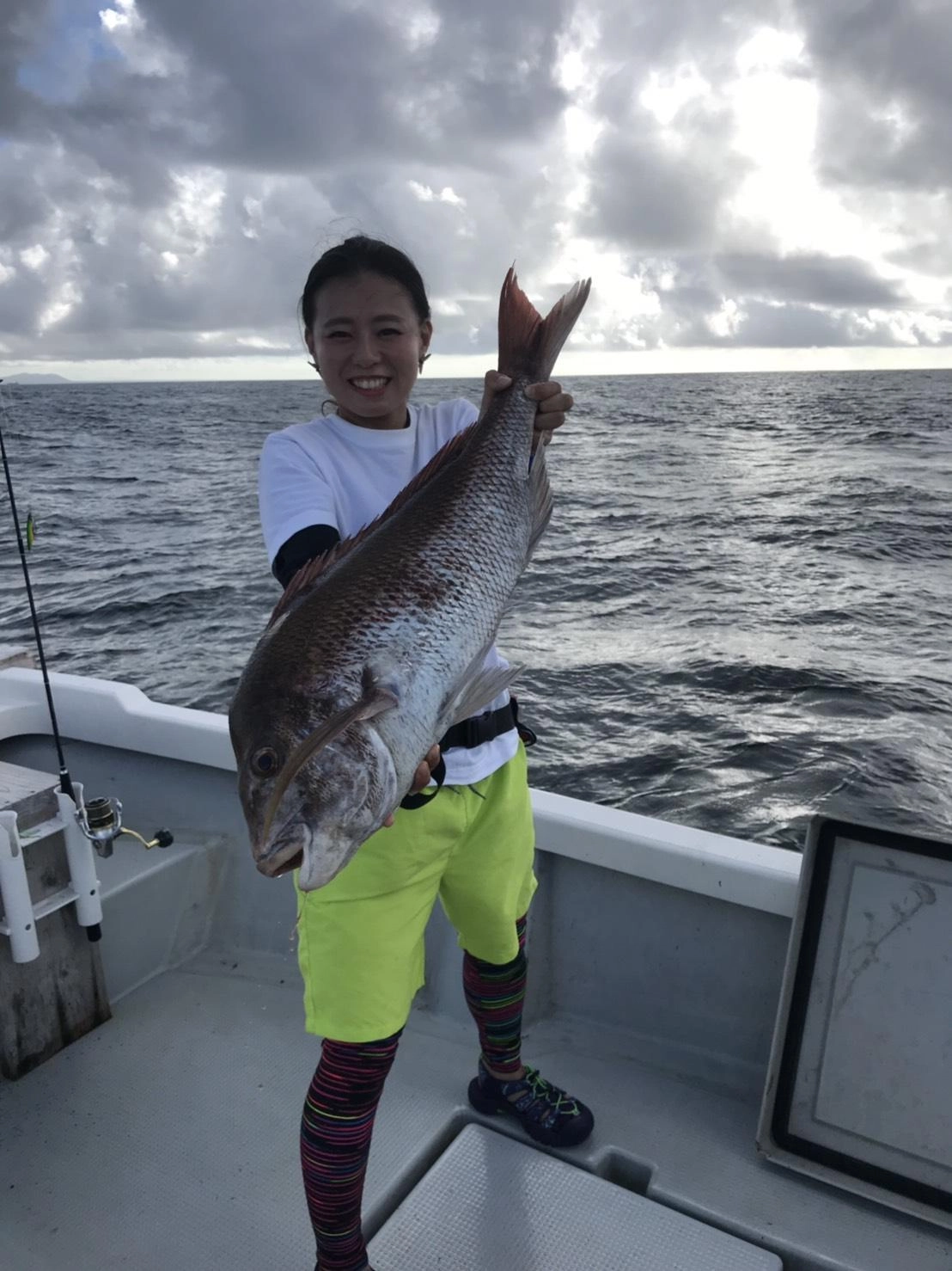 デカイ！伊良湖周辺大鯛も釣れています！