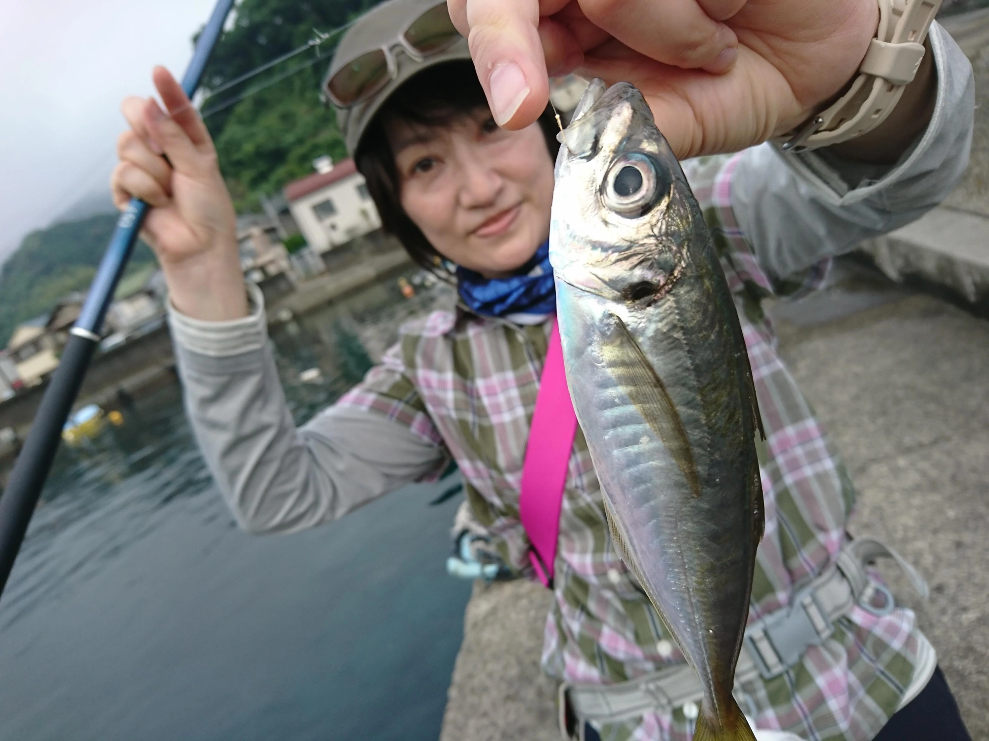 マズメの時間帯にアジの回遊がありました！