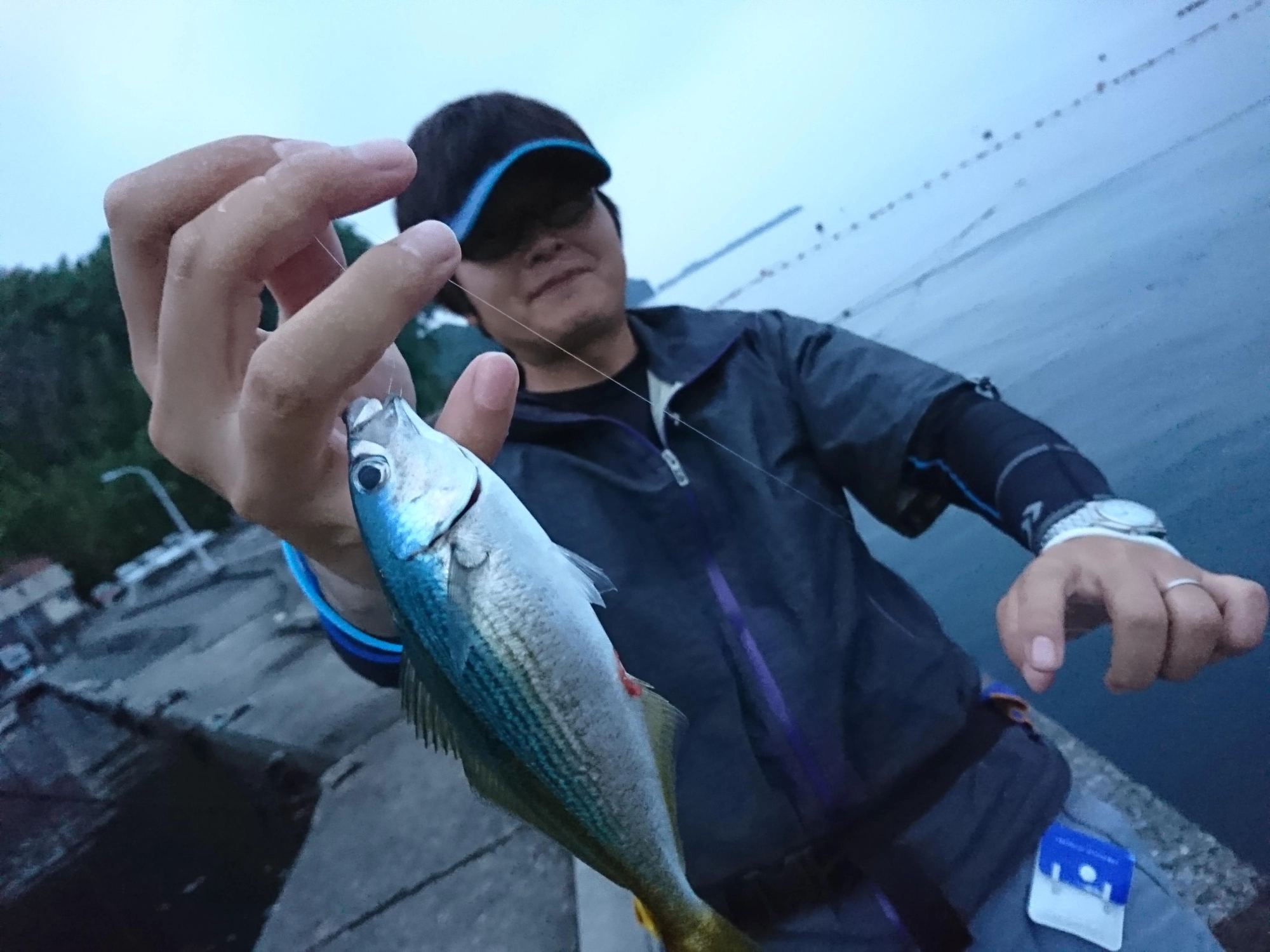 ウキ釣りではタカベも釣ることが出来ました！付けエサはアミエビを使用。