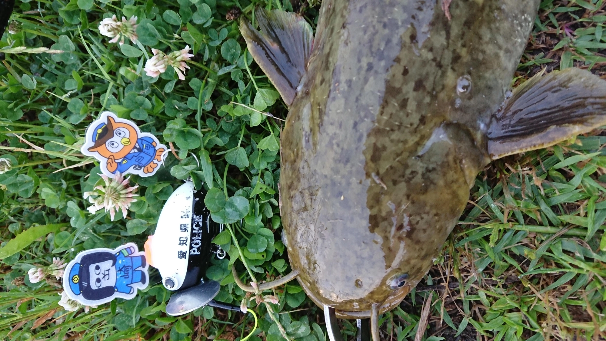 ザクトクラフト ザグナ サウンドモデル