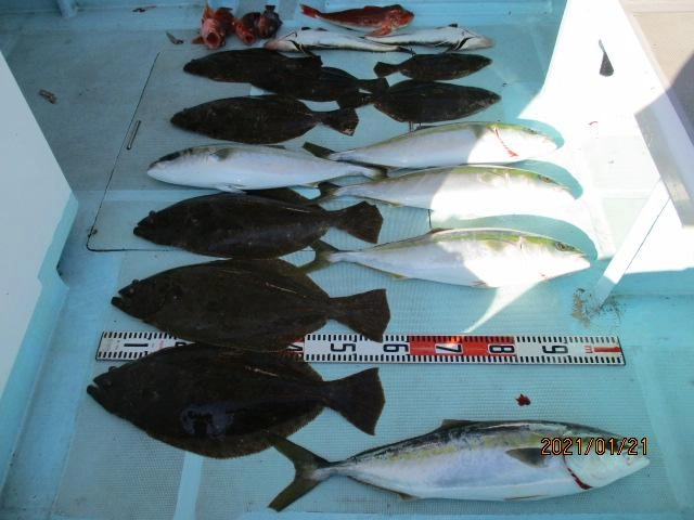 片舷だけの釣果ッ(^-^)肉厚寒ビラメ、ワラサ、ホウボウ、カサゴ、イネゴチッ‼︎