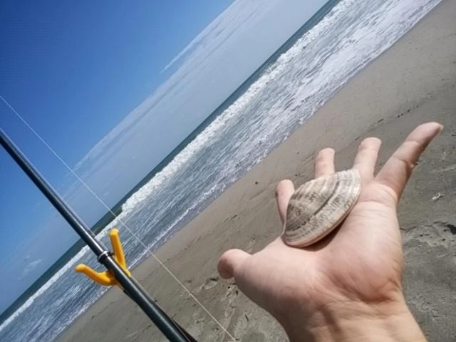 なんで