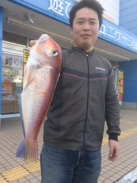 良型のアマダイ！まだ釣れてます！！
最後の最後にGET