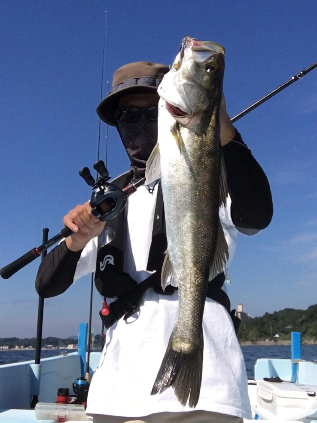 ボートルアーでは秋のシーバスが始まりました。奥浜名湖ではセイゴやメッキなどのアタリもかなり多いそうです。