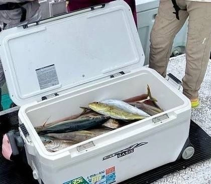 良型イサキ連発です！その他の美味しい魚も釣れて五目釣りを楽しむことができました！
