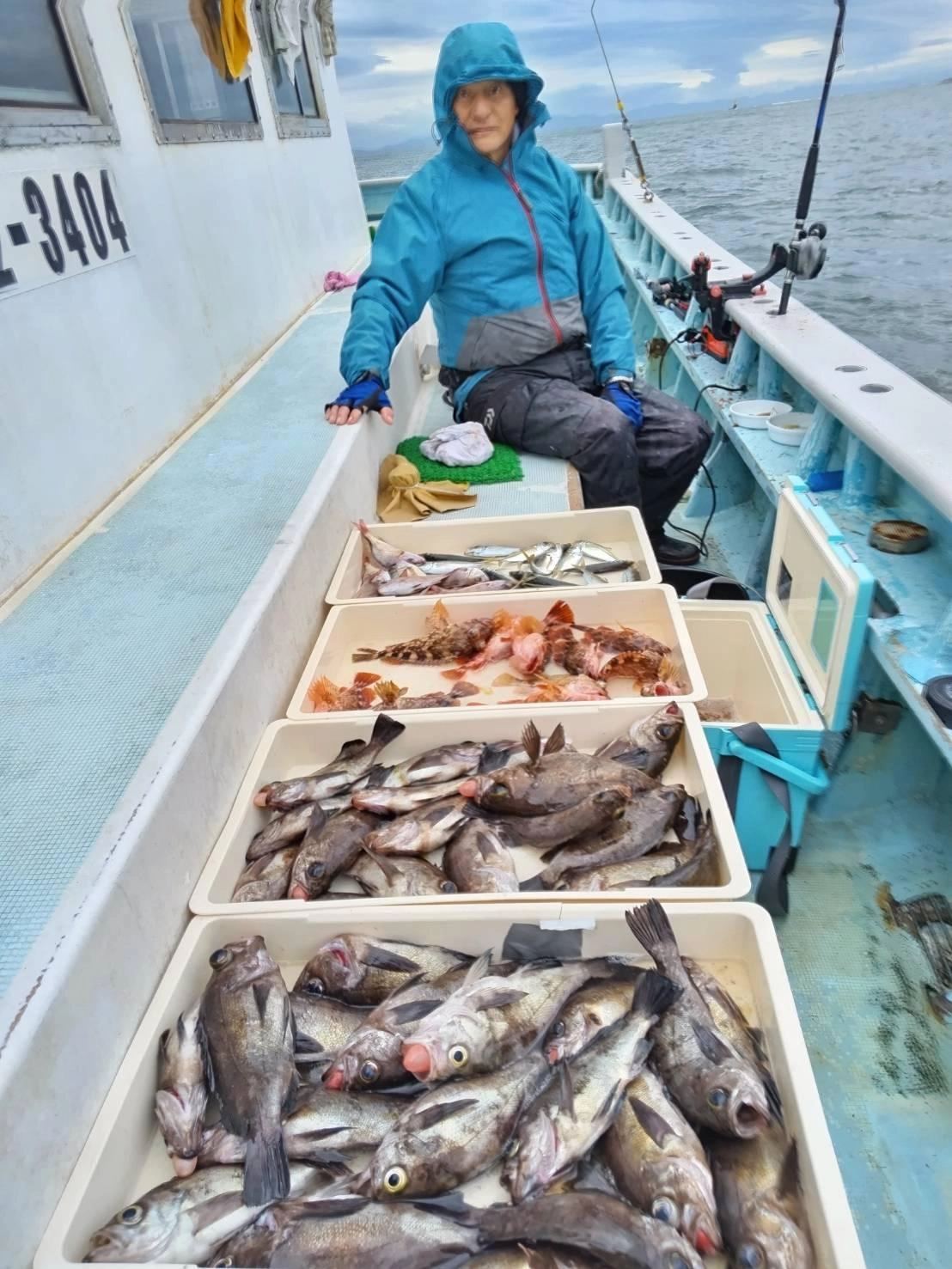 こちらの常連様はデカメバルにカサゴにデラ釣るッ(ﾟ∀ﾟ)