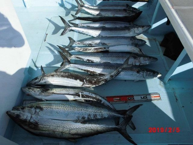 メタボザワラは船中13匹 上がりましたッ(^-^)