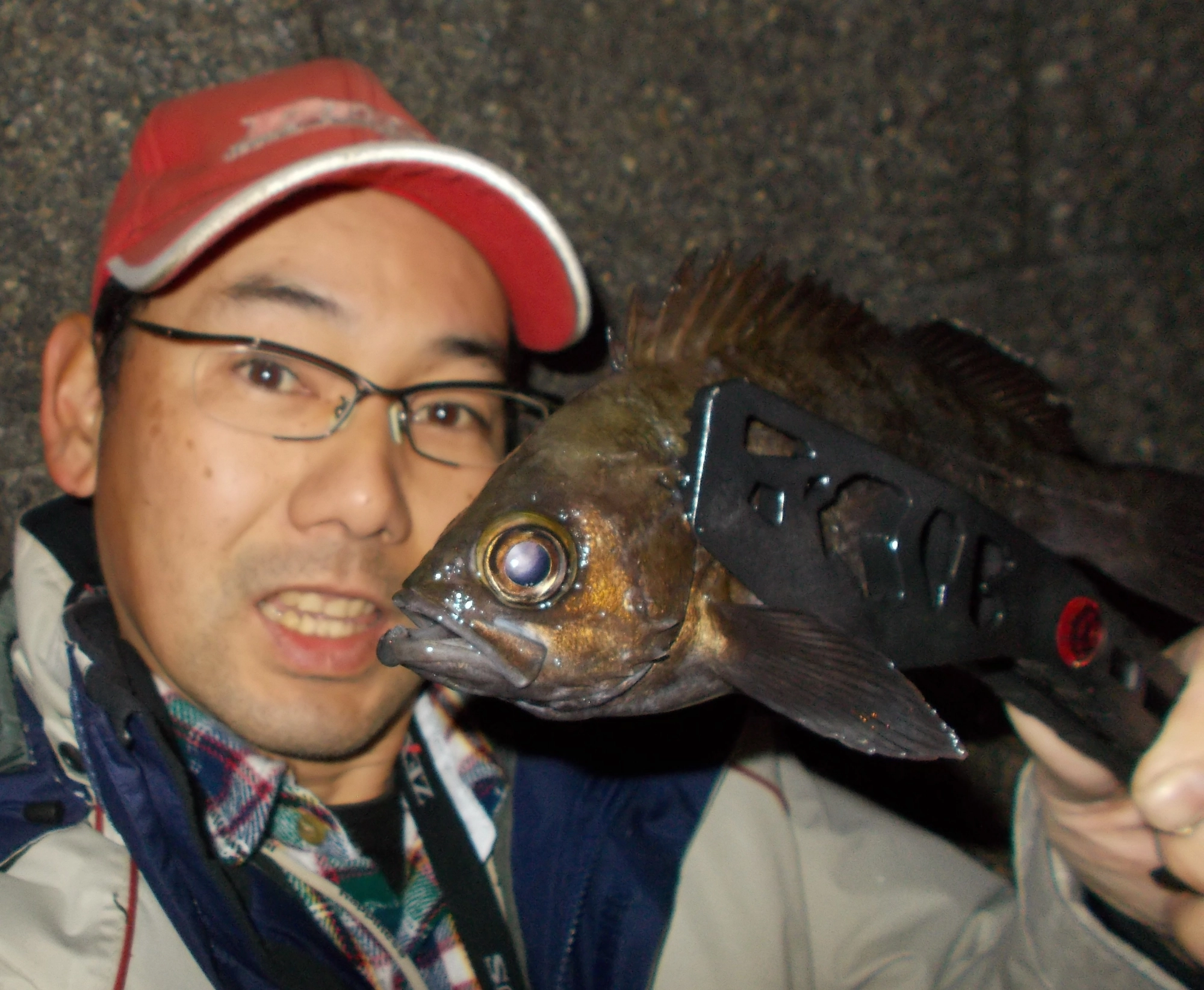 またまた行って来ました。この日は少し渋かったですが釣れました。