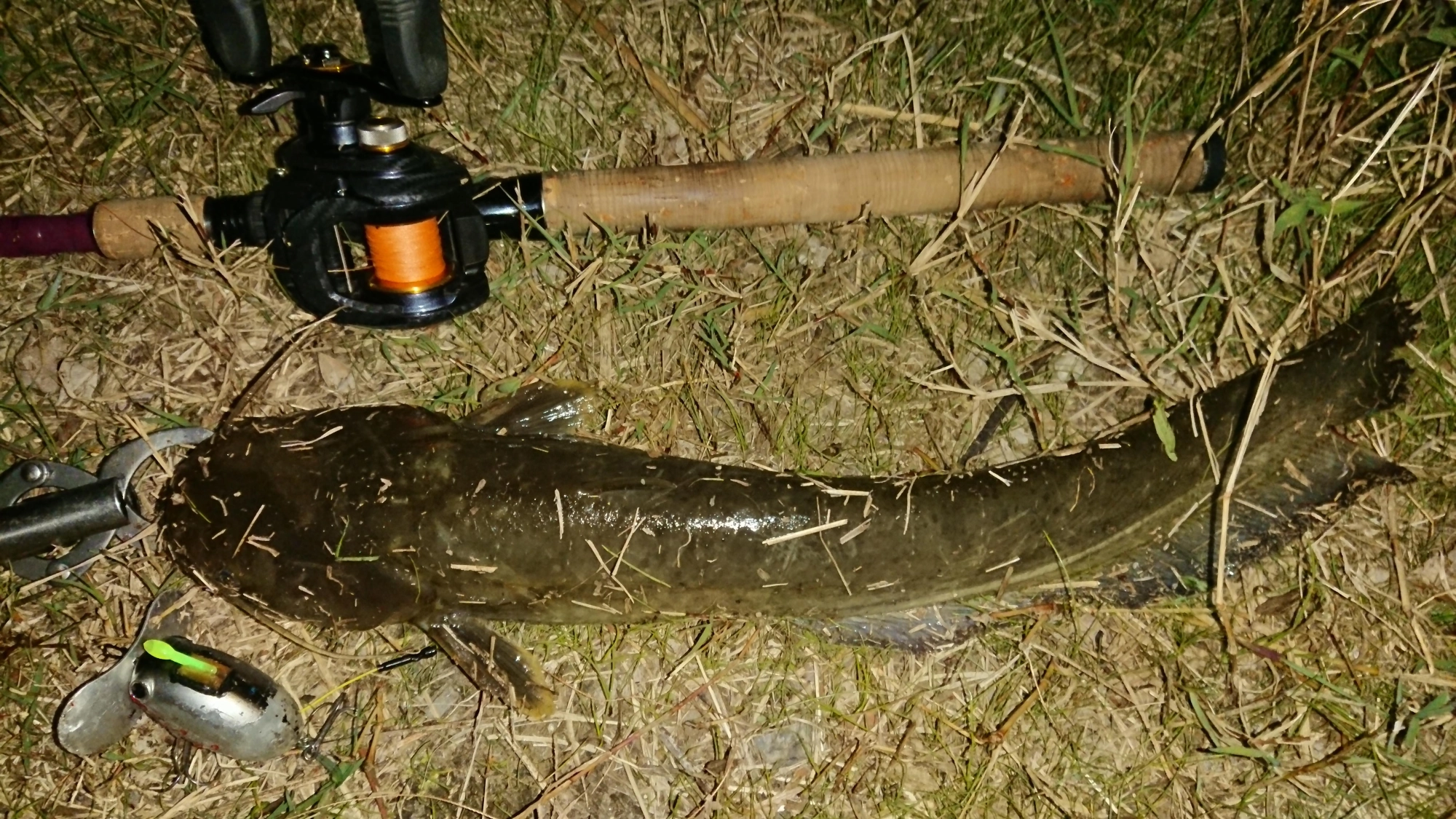 ルアーはザクトクラフト
ザグナ
ロッドはザクトクラフト
フリクサー