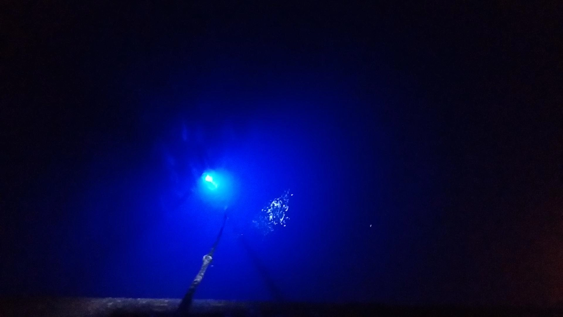 フグハリケーン！！！