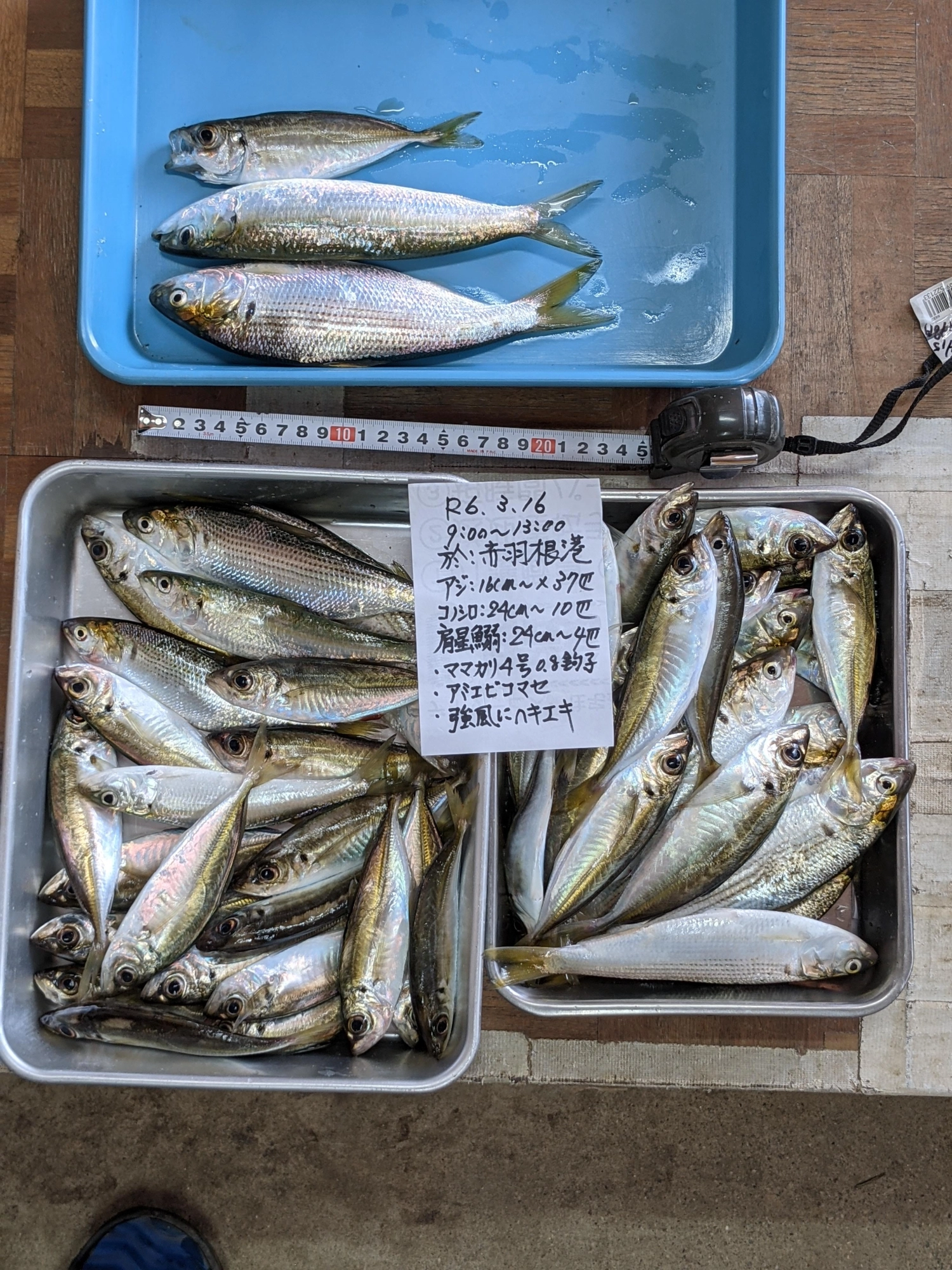 強風に苦戦もこのくらい釣れればオンノジ。　
ヒムラあるので今日は当たり日であった。