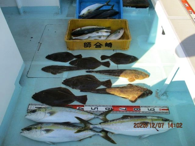 片舷側だけの釣果ですッ(^-^)ワラサにヒラメにマゴチにハマチッ(о´∀`о)