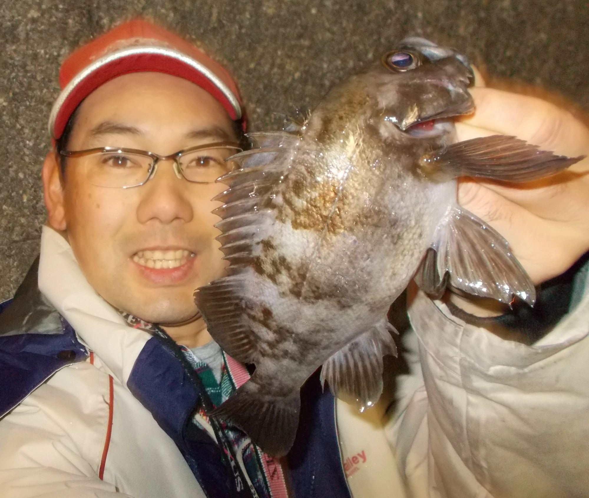 風が無くいつもは入れなかったポイントで釣れました。他にも0.8号ハリスを何度か切られてしまうアタリもありました。