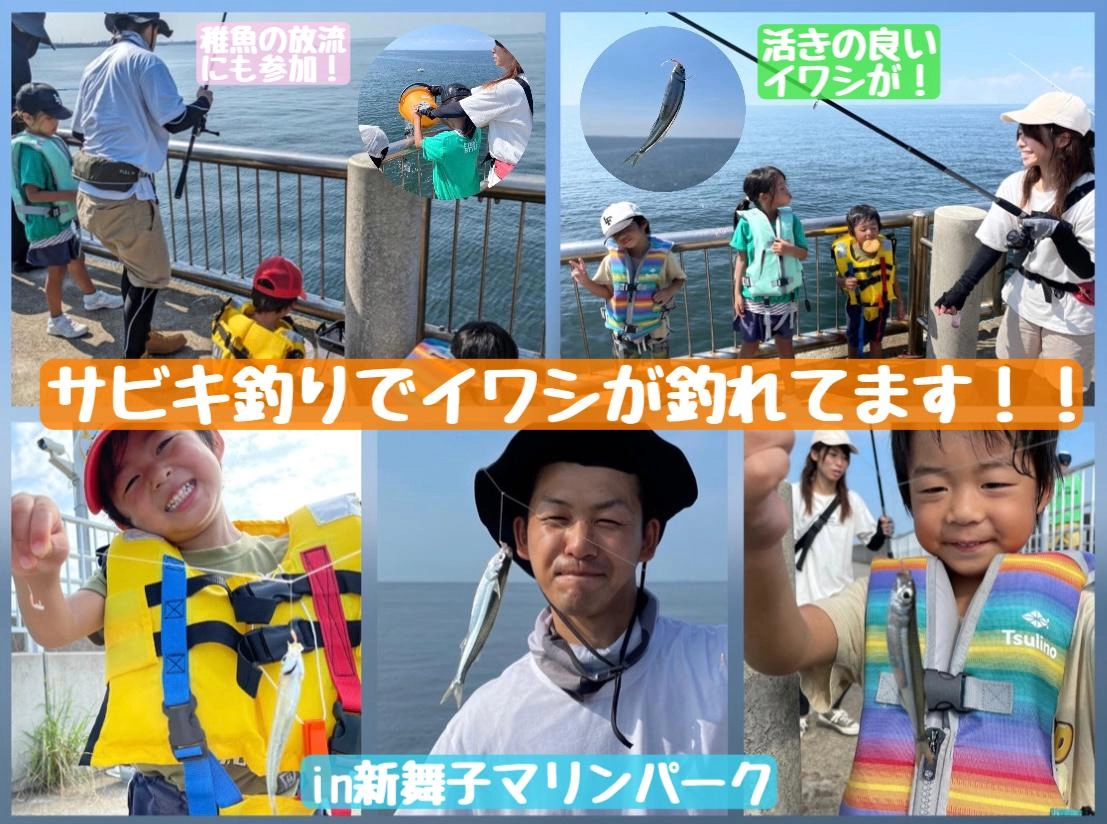 【今週はイワシが好調！】サビキ釣りin新舞子マリンパーク