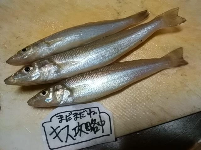 感謝