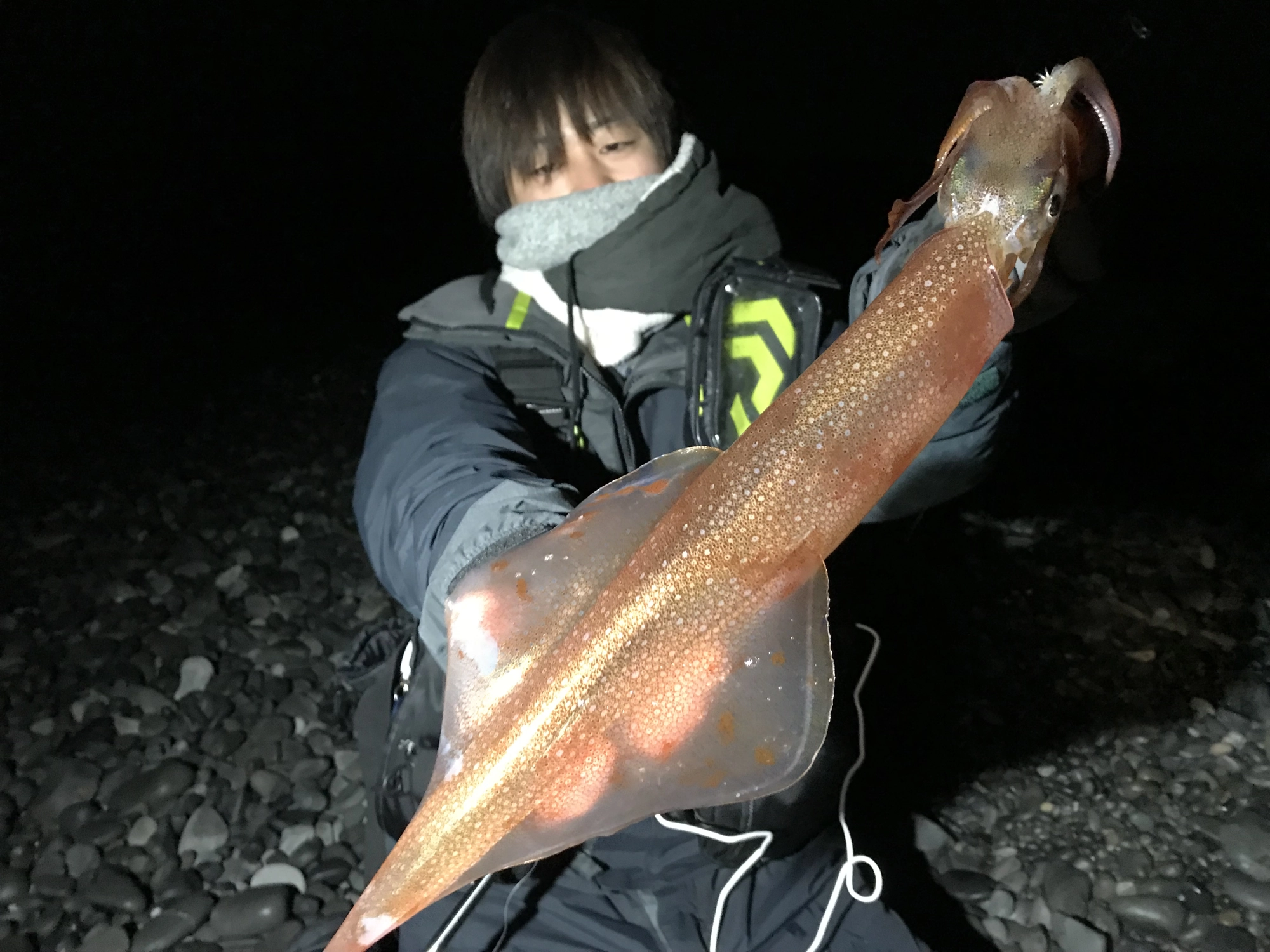 六畳一間の狼ハヤマもパラソルサイズなんて呼ばれる大物を釣りあげました！