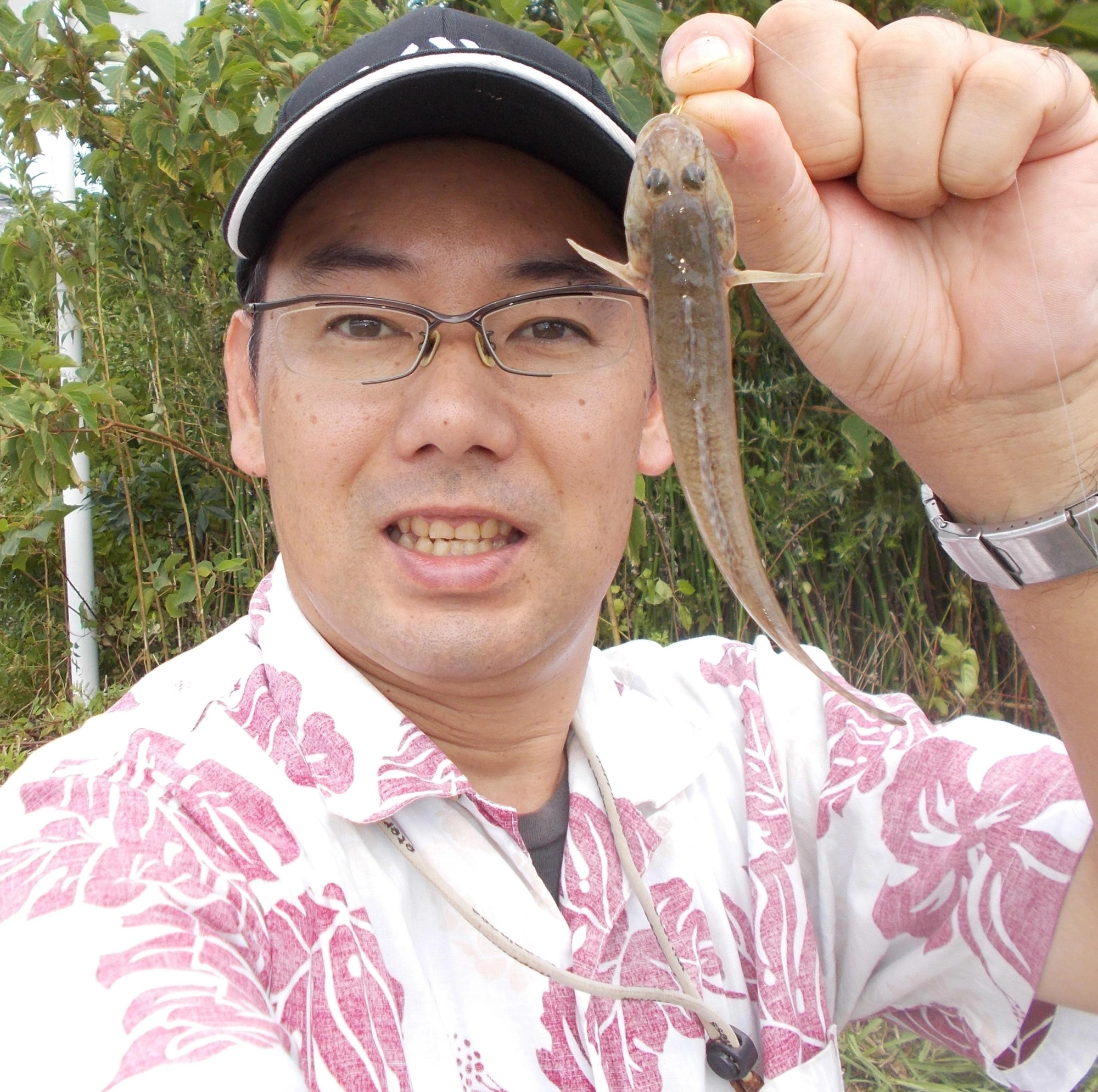 場所によってはニゴリが強い所もありますがハゼが釣れてます。