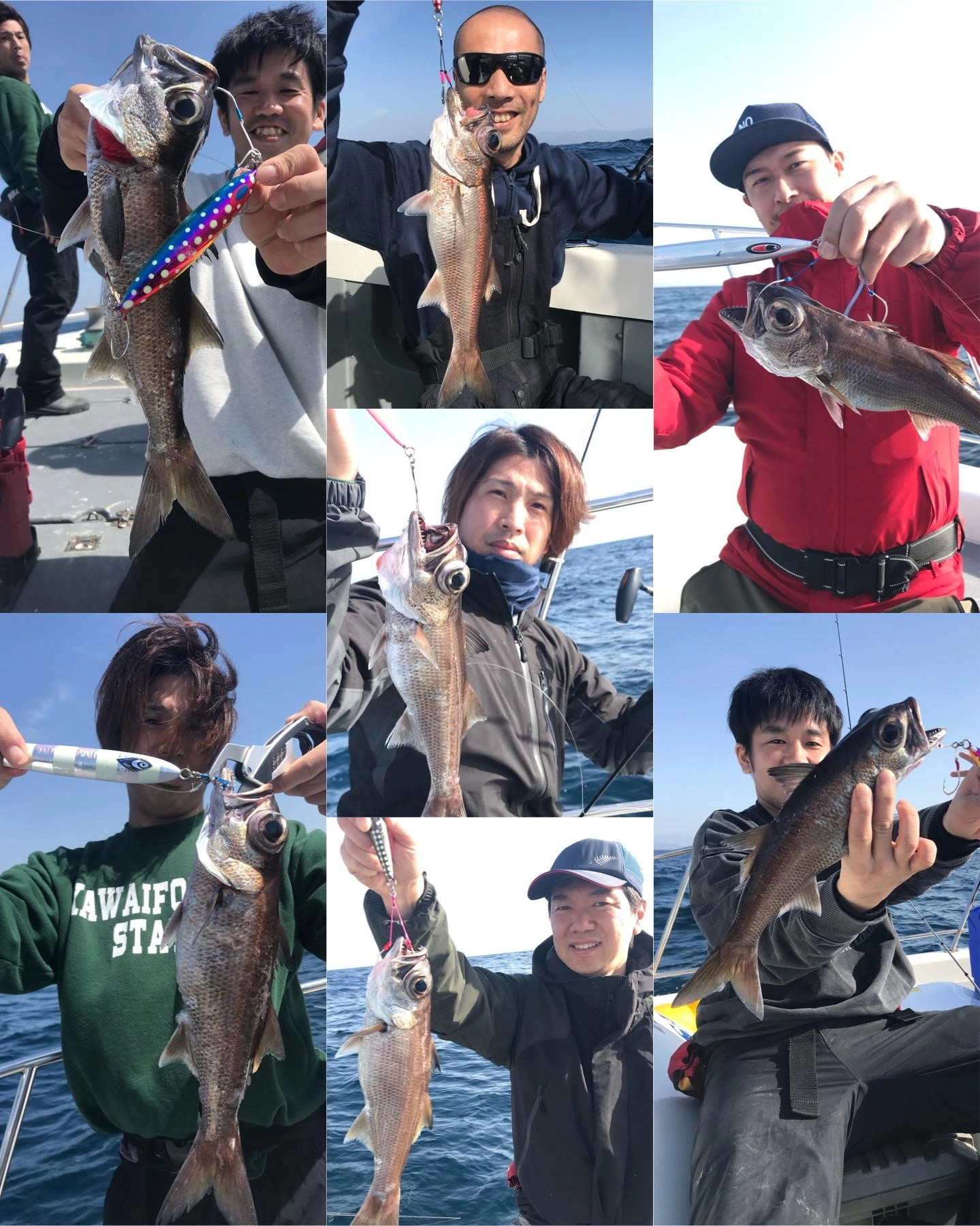 クロムツ高活性