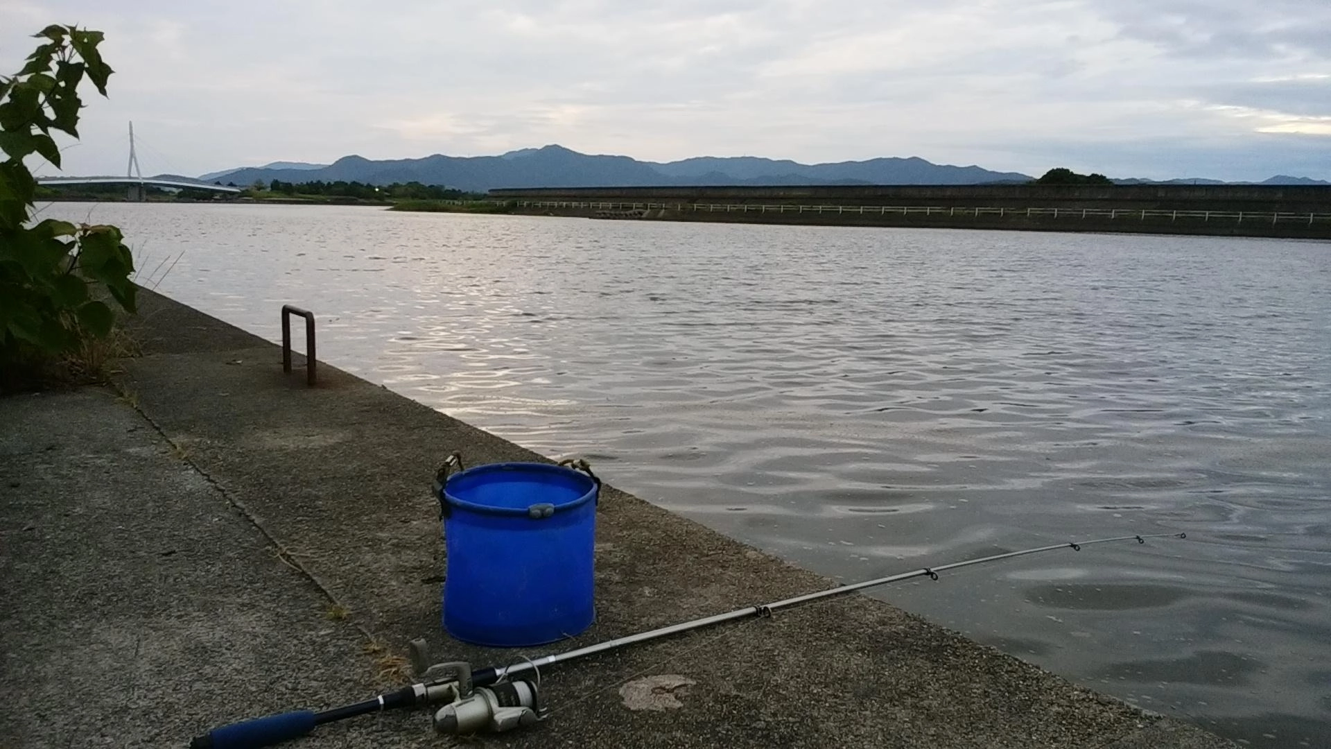 夕日がまぶしい。