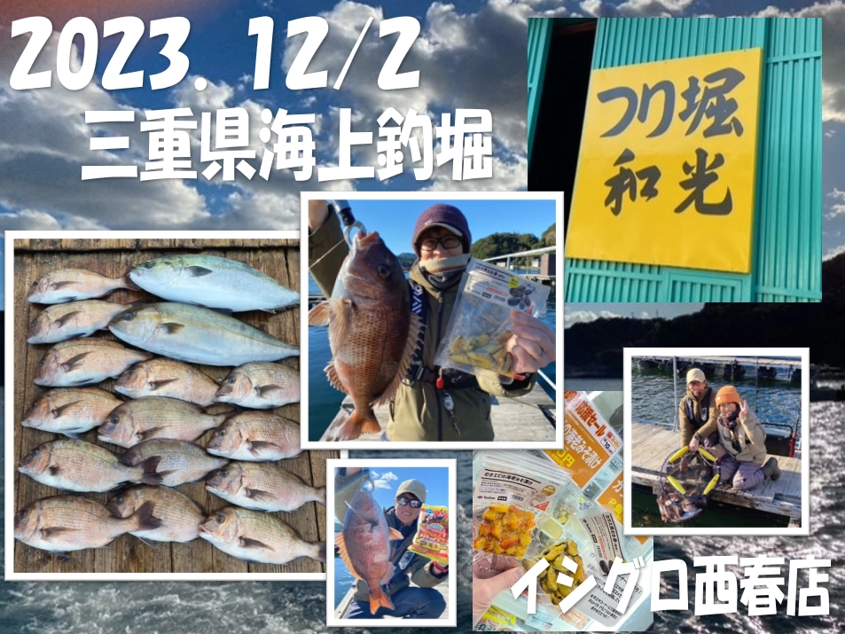 2023.12/2　三重県　海上釣堀「和光」釣果情報♪