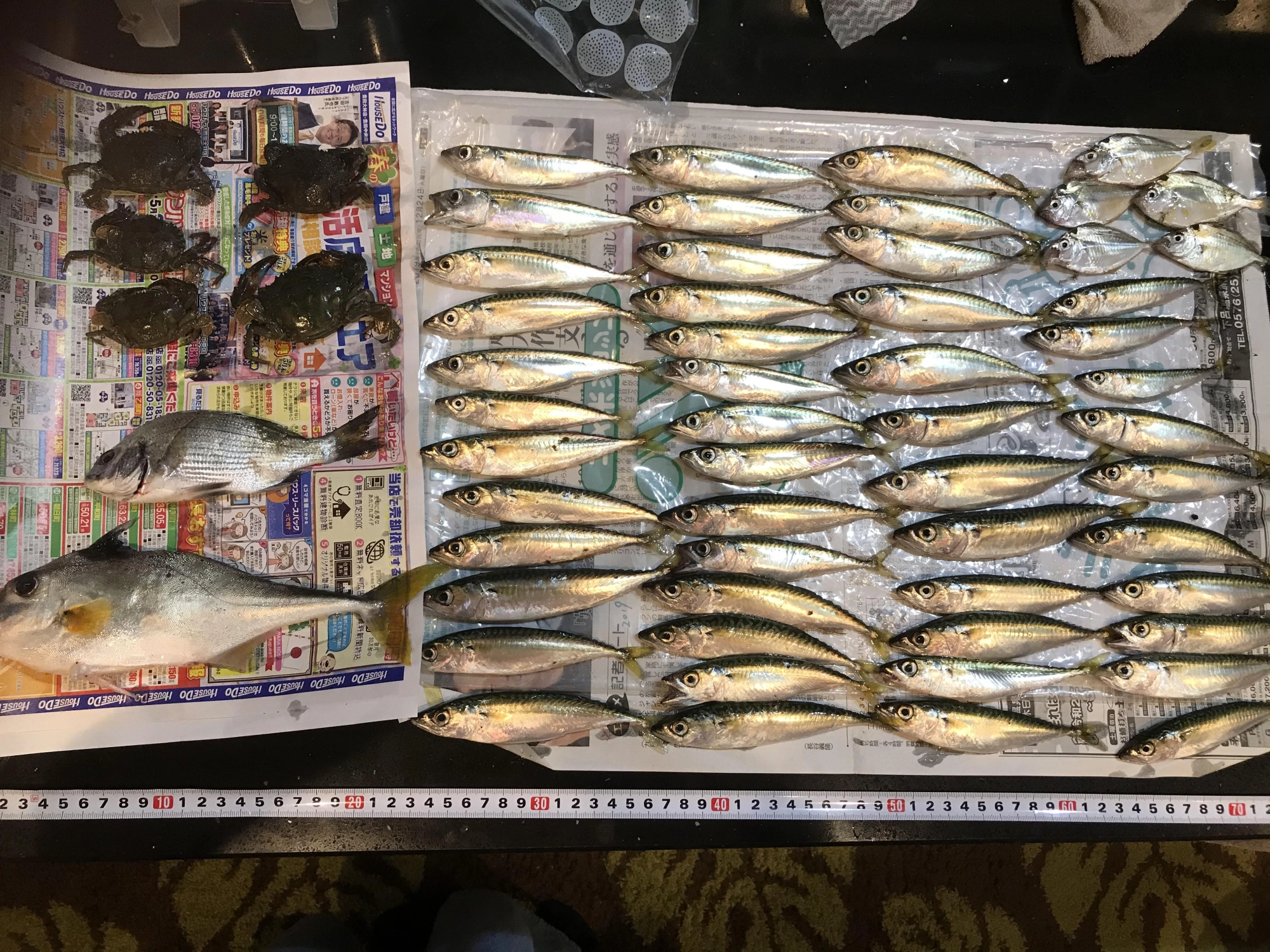 初めて釣ったぎま。
小さなこどもたちもみんなでこんなに色々釣りました！