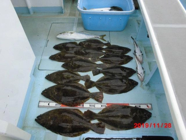 片舷だけでの釣果ですがプリっぷりのツバスハマチがヒラメ釣りの邪魔をしちゃうッ(￣∀￣)！！
