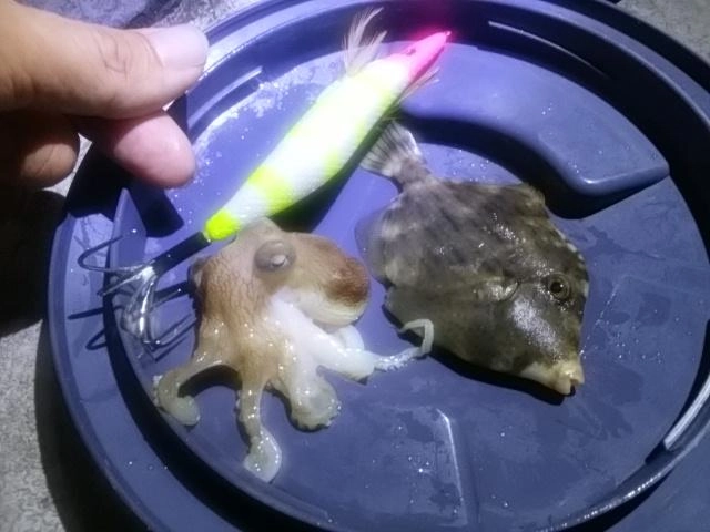 本年初