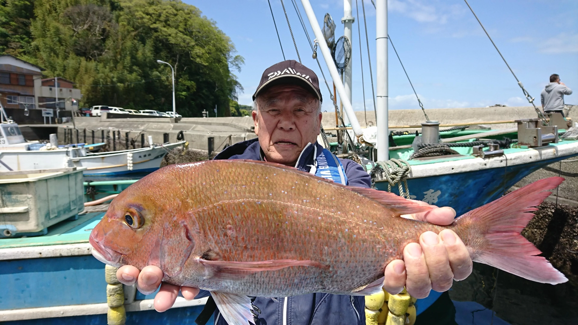 ２kg前後のマダイが釣れておりました。