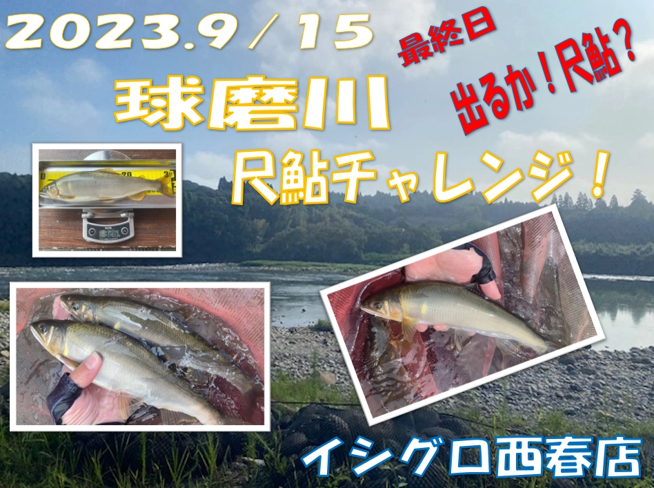 2.23.9/11～9/15　球磨川尺鮎チャレンジ！最終日