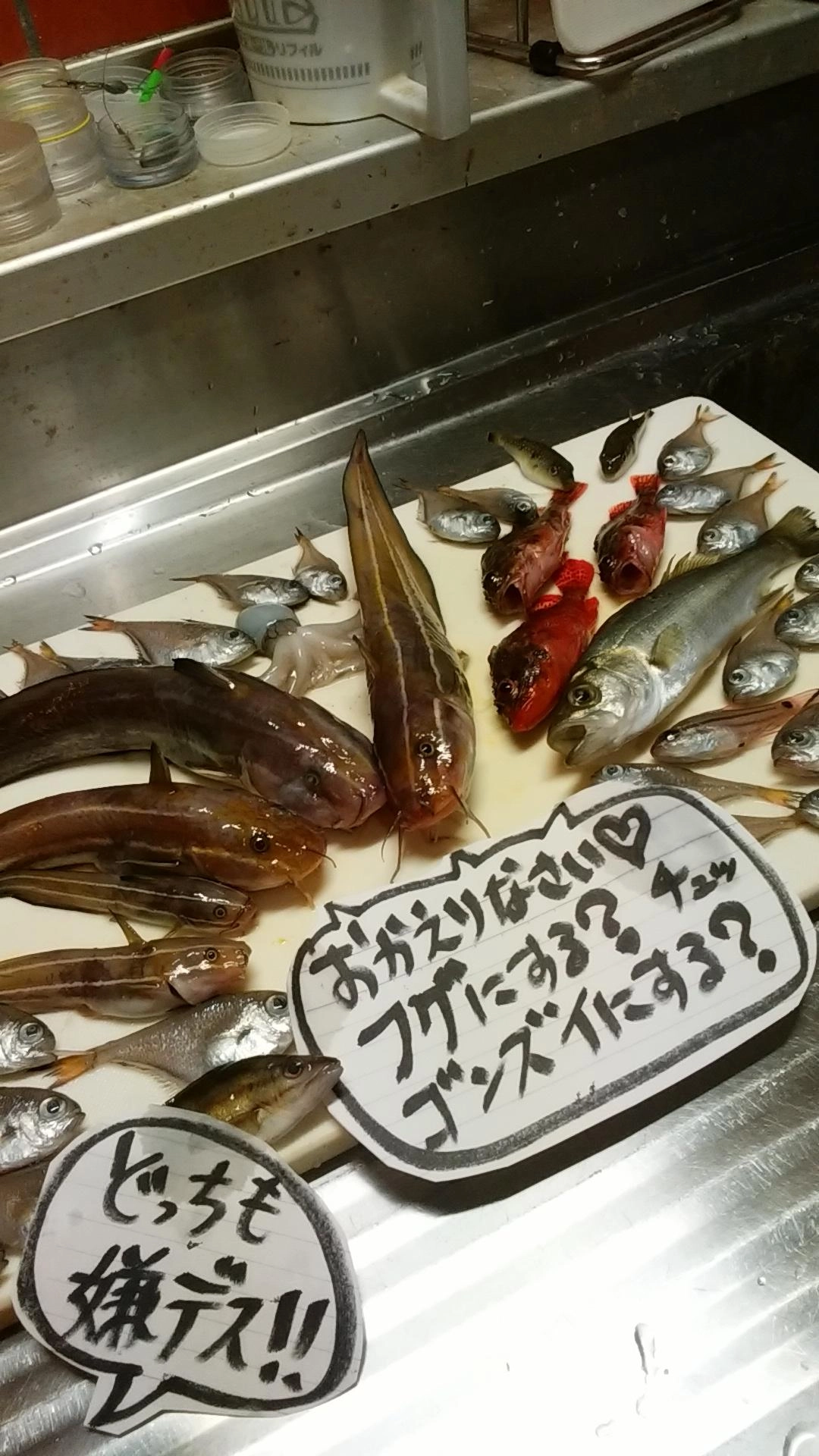 フグとゴンズイがたくさん釣れた、、、(-ω-;)むむっ