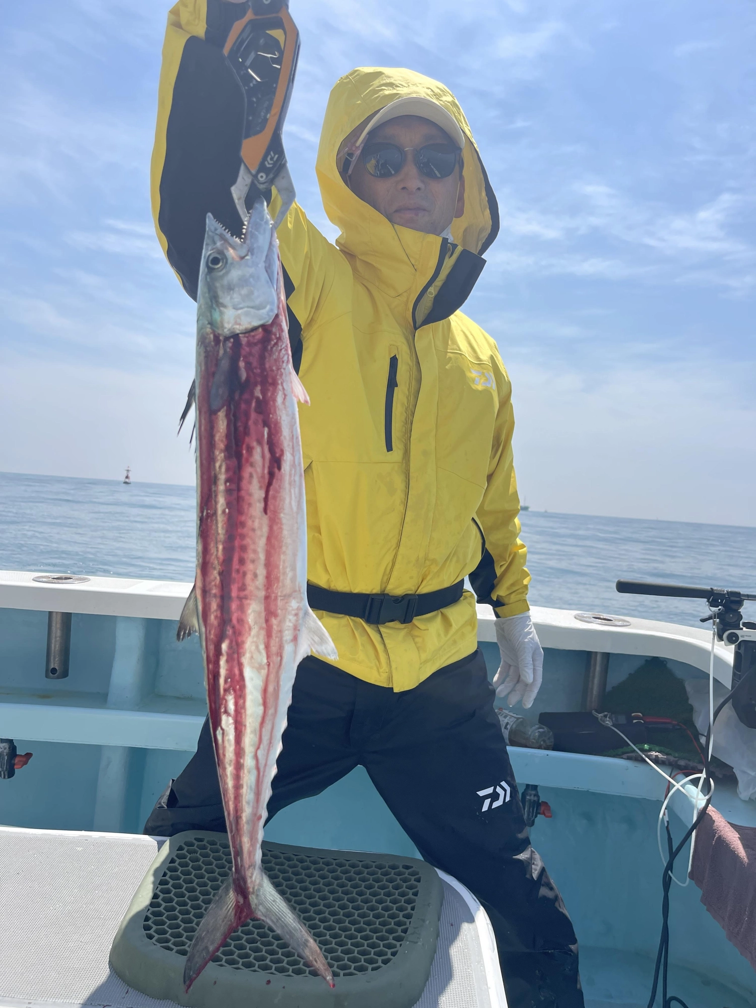 こちらの常連様はサゴシサイズでしたが嬉しいサカナッ(о´∀`о)