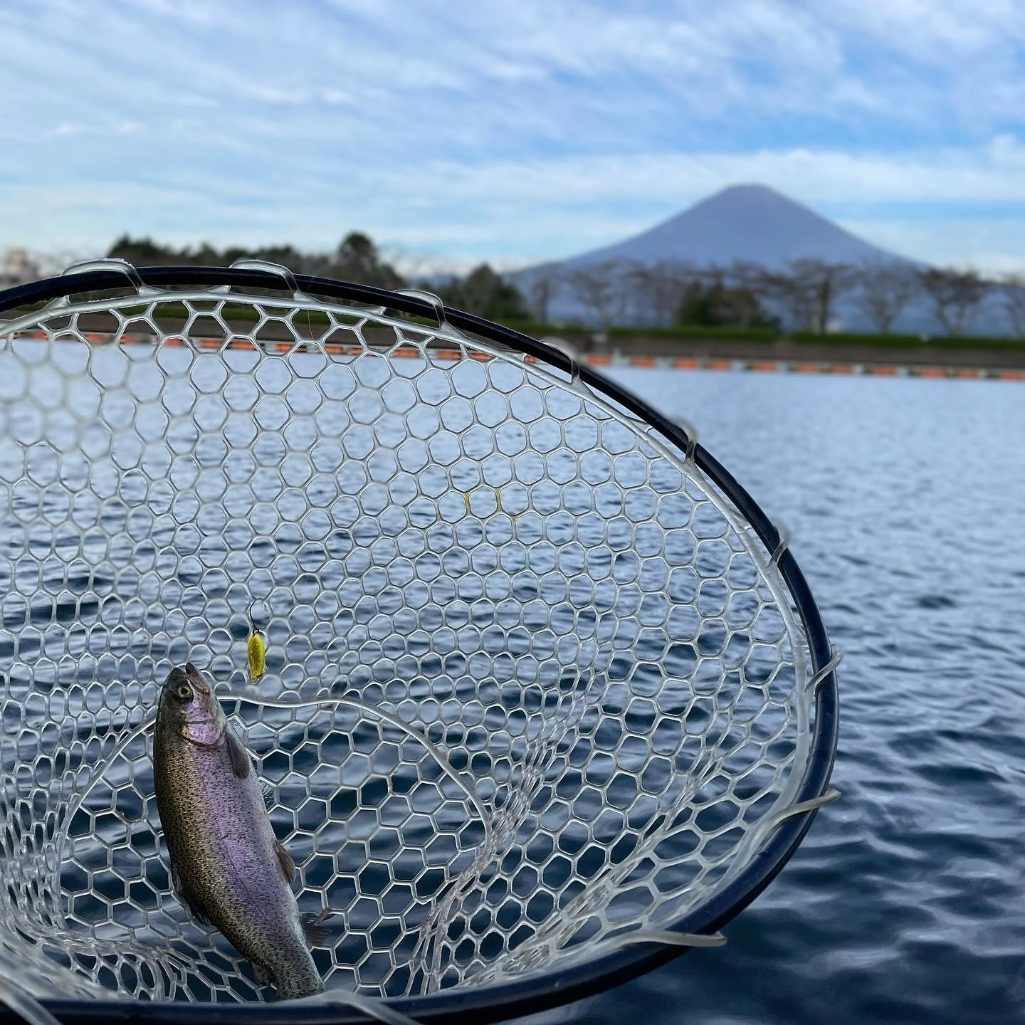 大きなココロは、4回に1回イレギュラーアクションが入ります♪
遠投して、ただ巻くだけ